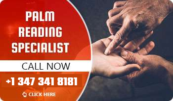 palm reading specialist